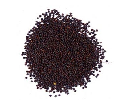 Mustard Seeds