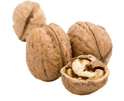 buy walnuts with shells online