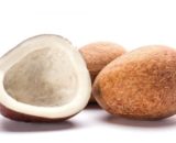 dry coconut