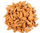 Mamra Almonds