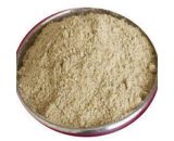 Jaljira Packet