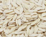 cucmer seeds