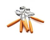 Stainless Steel Spoon